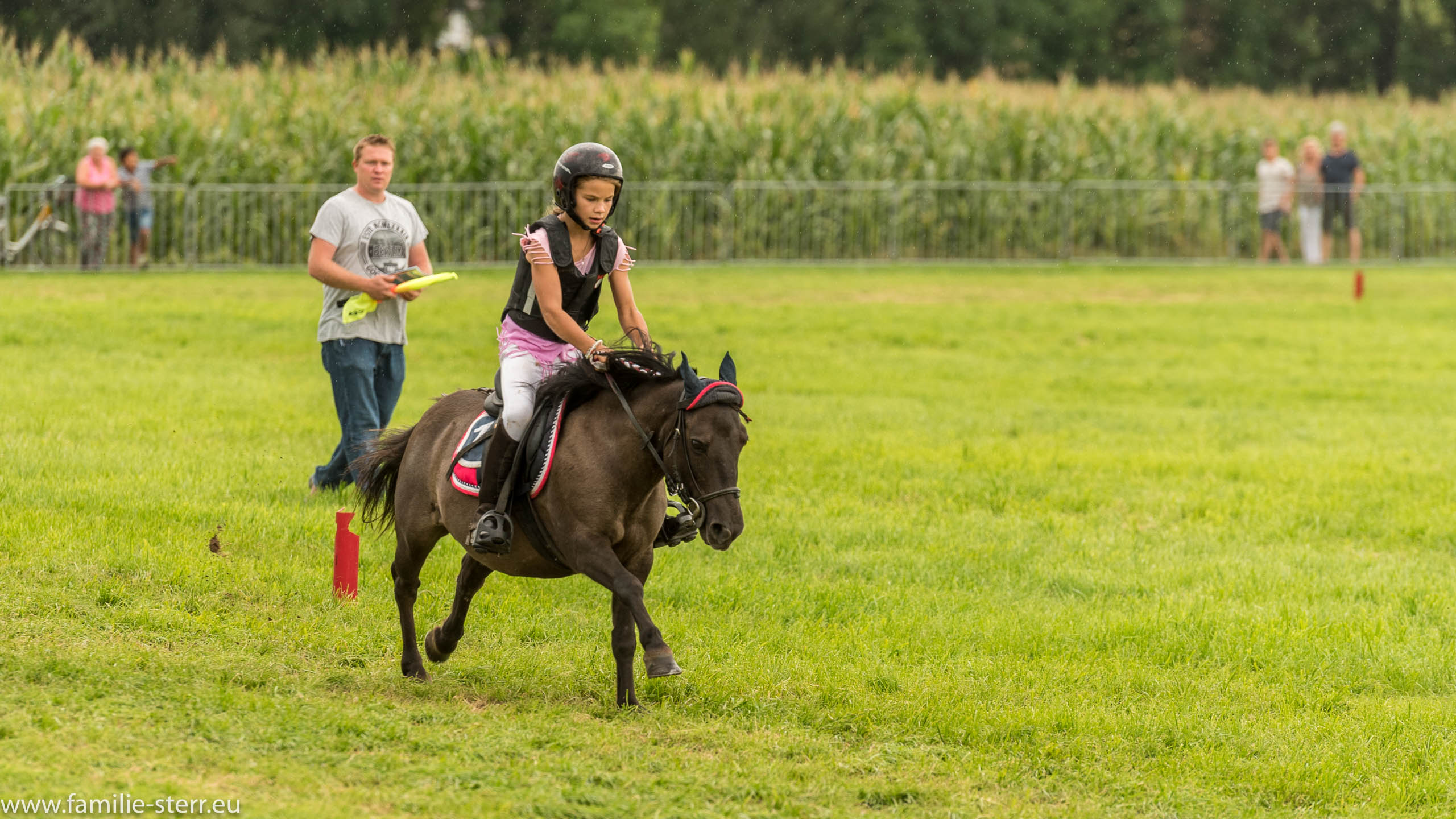 Trabrennen in Erding 2017
